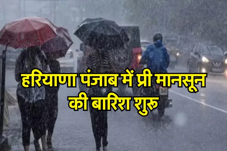 Haryana Rain News