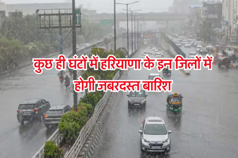 Haryana Rain News