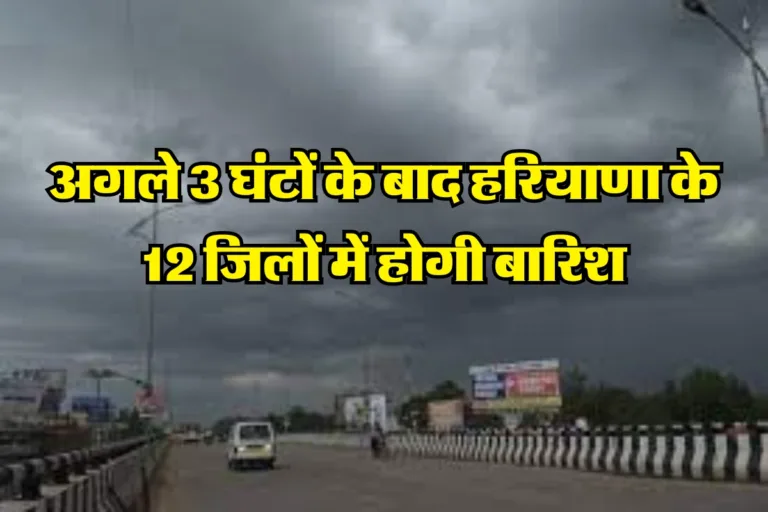 Haryana Rain News