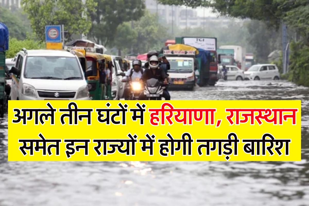 Haryana Rain Update