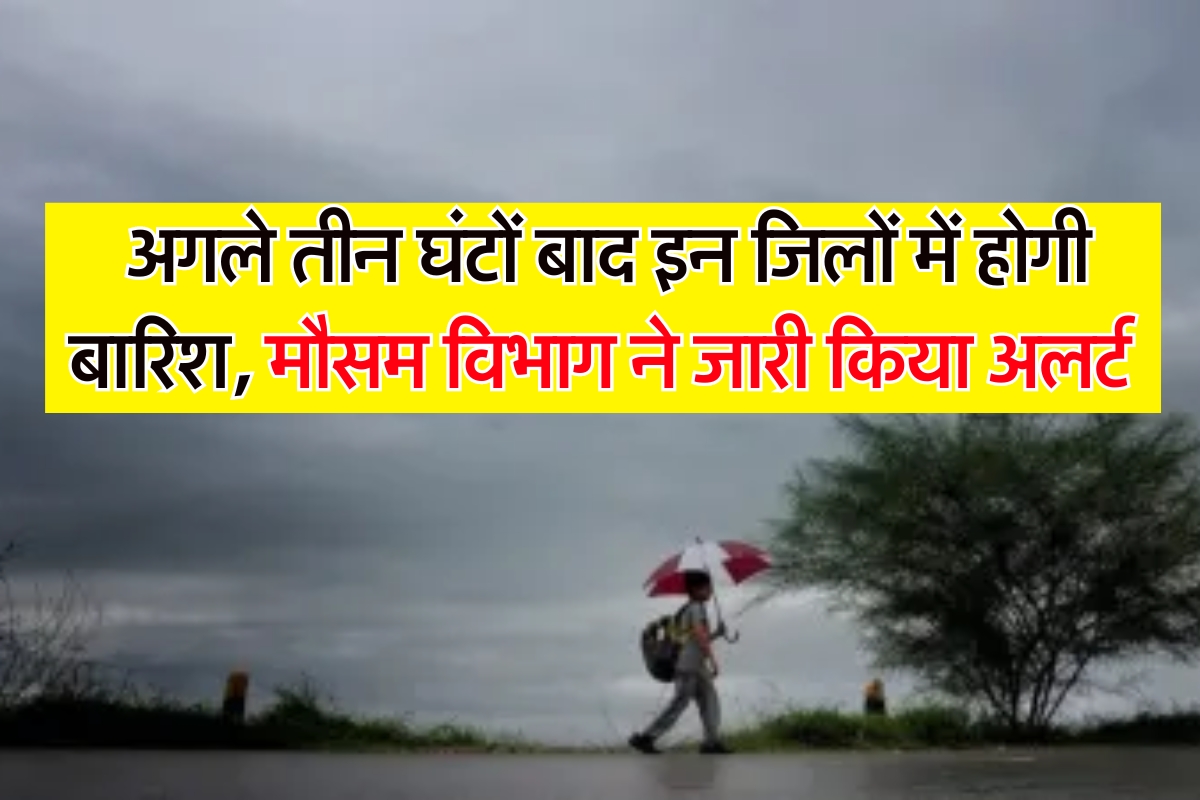 Haryana Rain Update