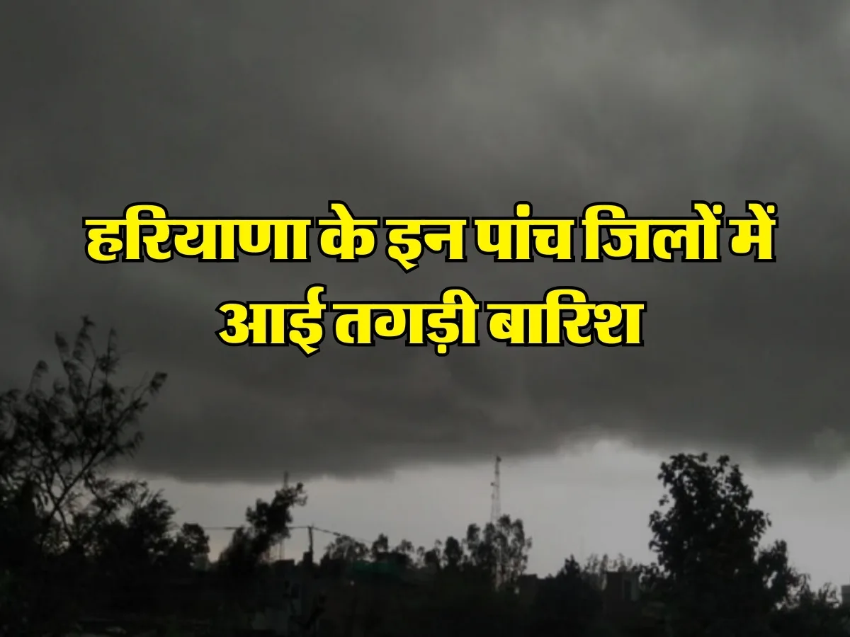 Haryana Rain