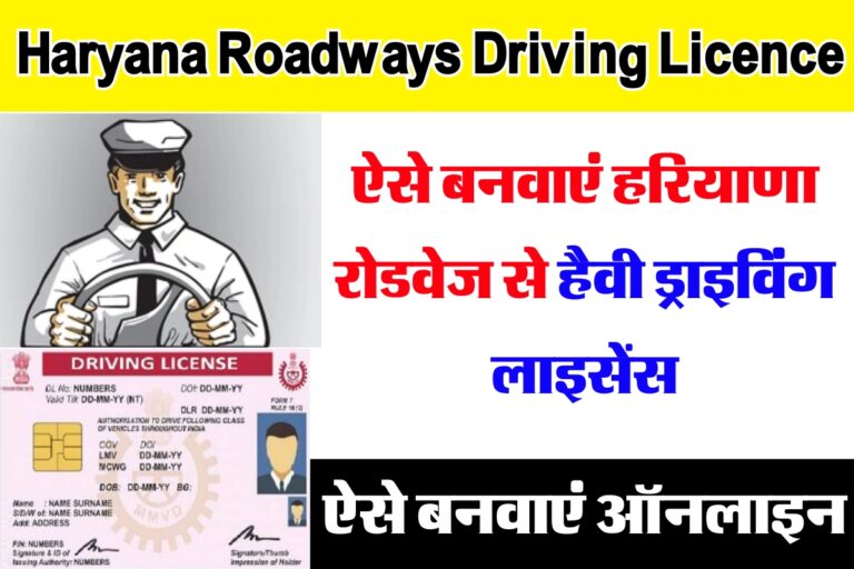 Haryana Roadways Driving Licence