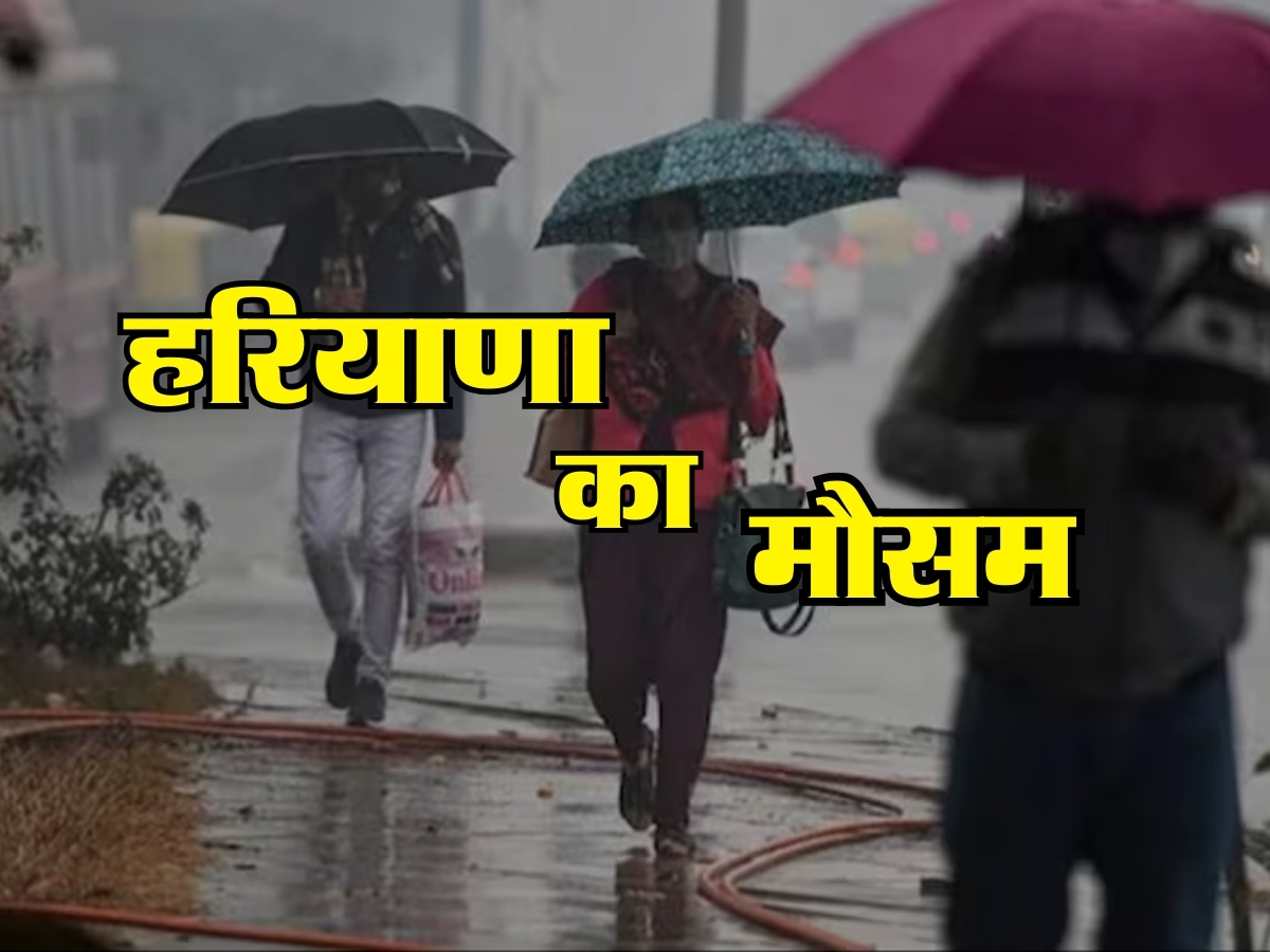 Haryana Weather News