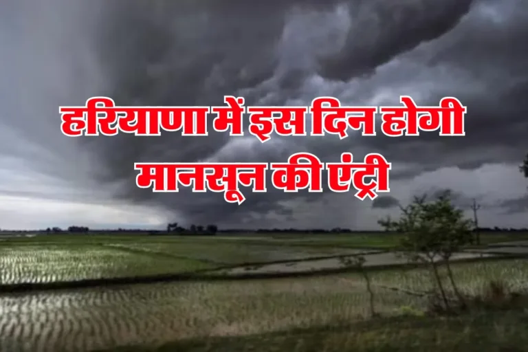 Haryana Weather News