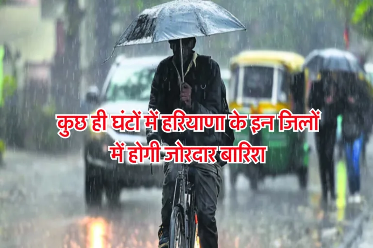 Haryana Weather Update