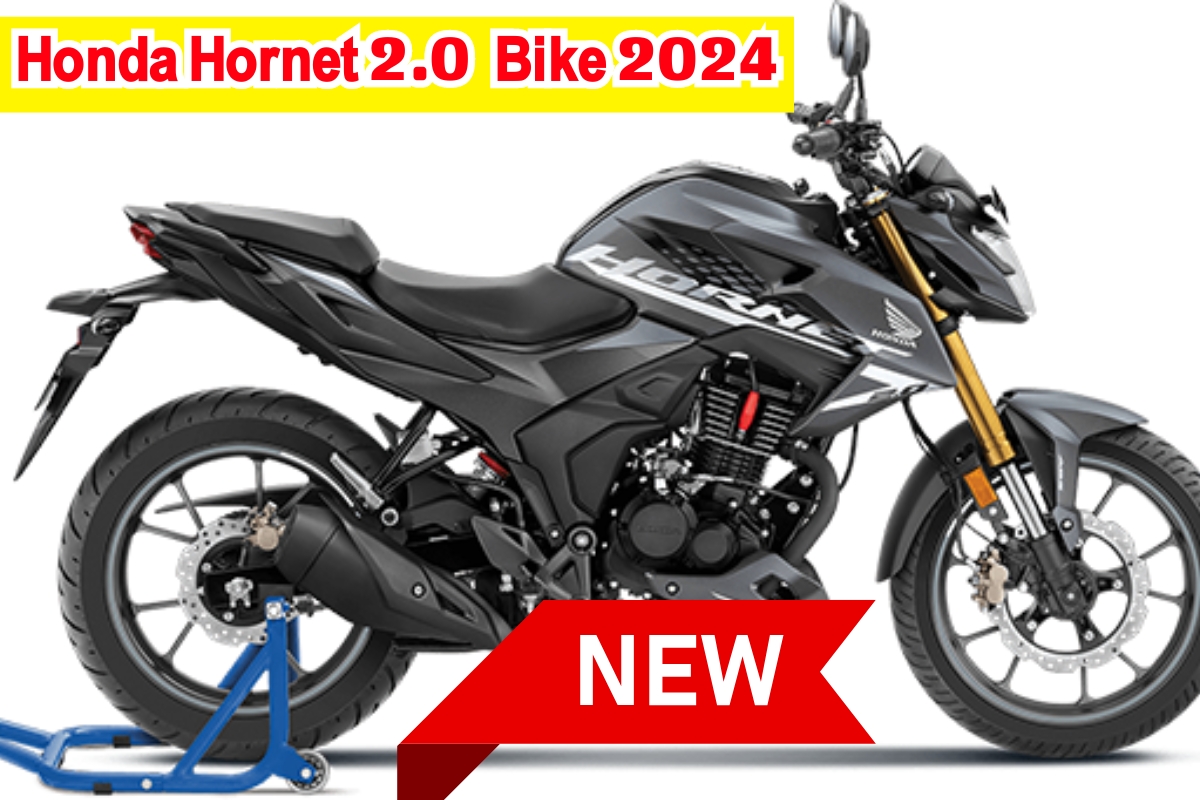 Honda Hornet 2.0