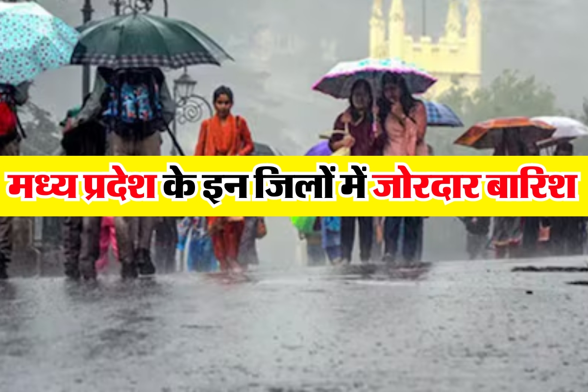 MP Rain News