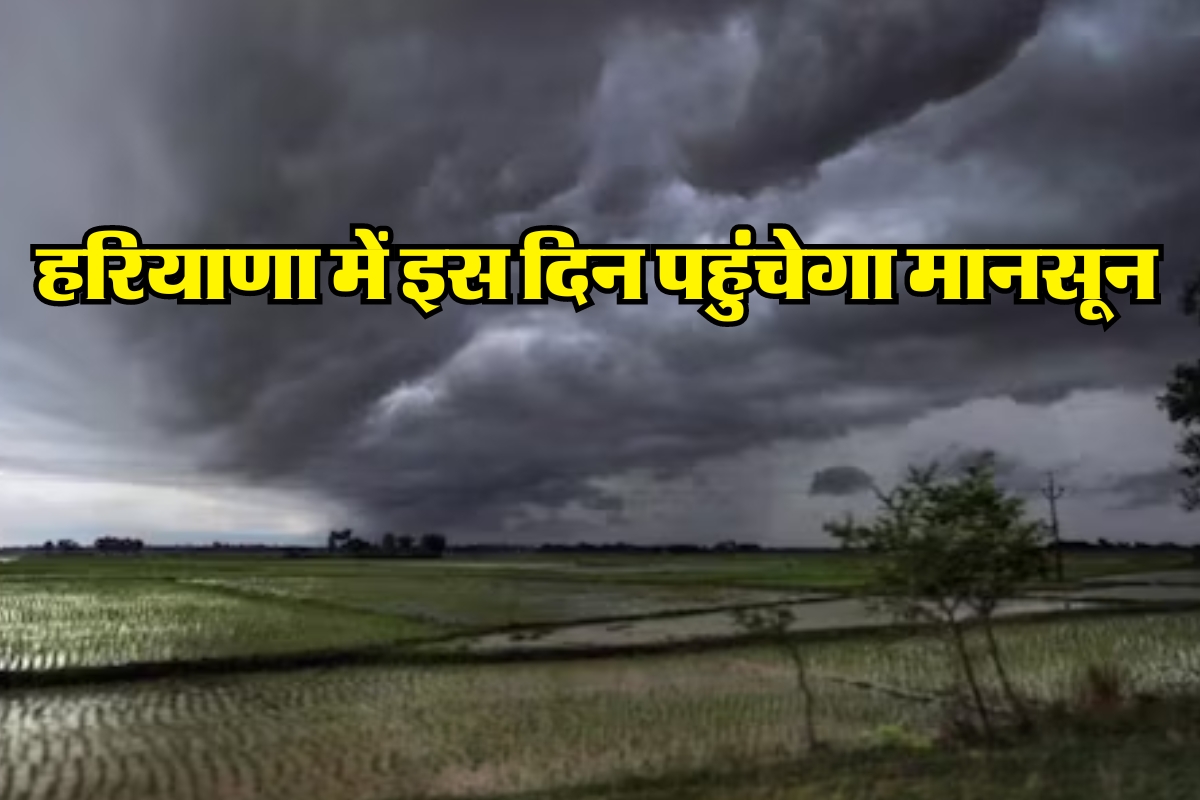 Monsoon Updates