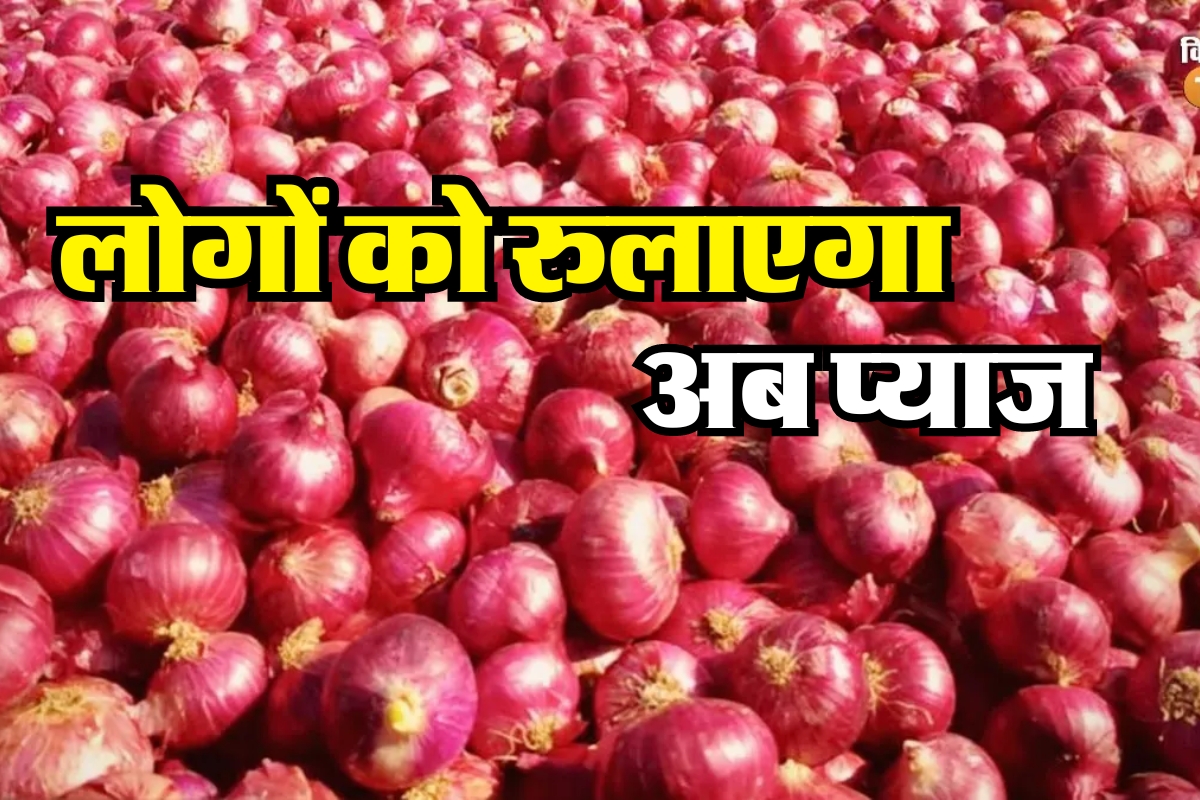 Onion prices