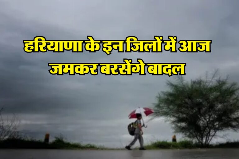 Today Haryana Weather