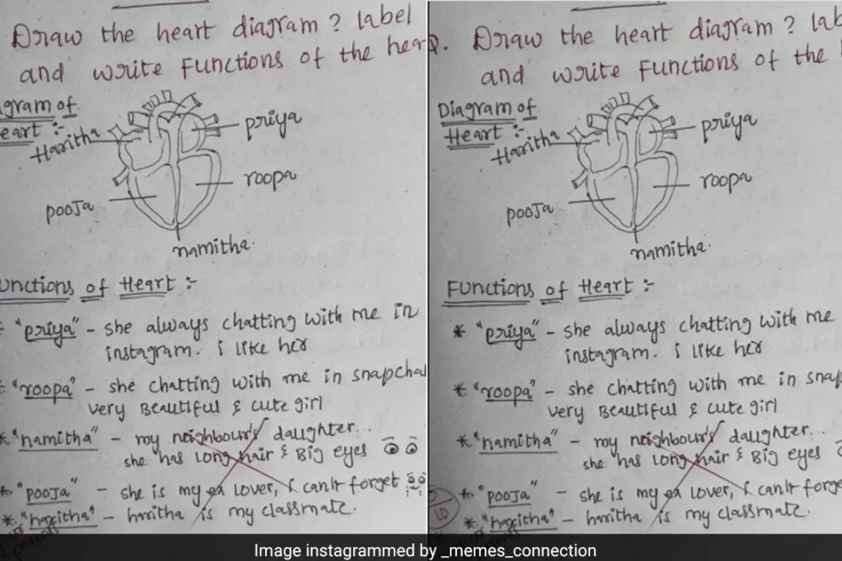 Viral Answer Sheet 